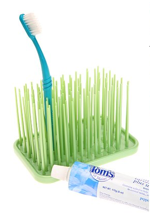 4. Toothbrush Holder